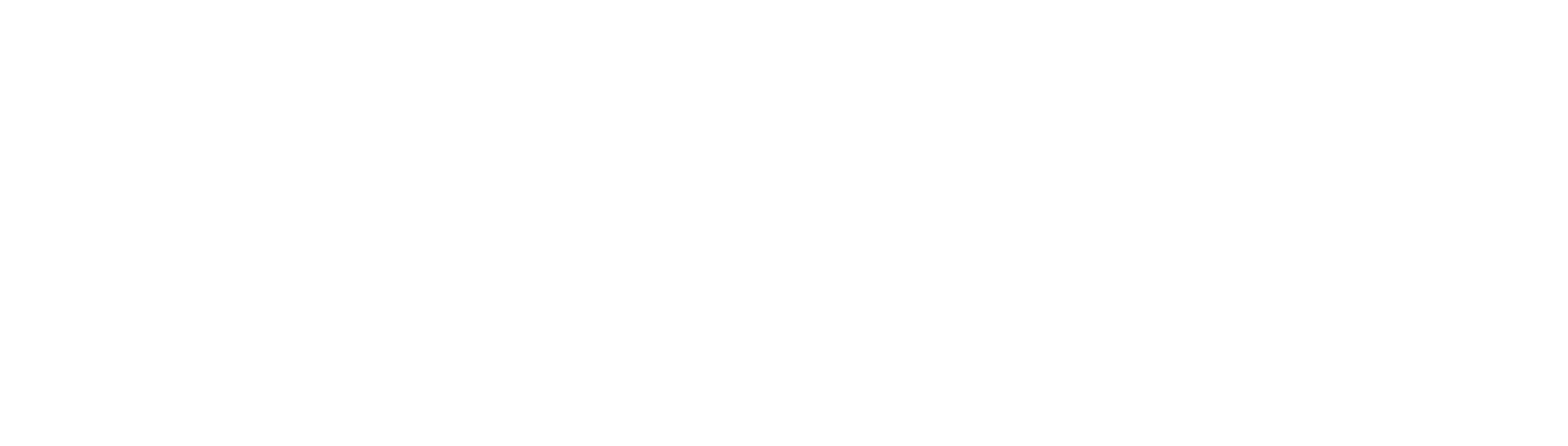 Netherlands Online Racing