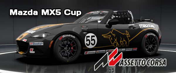 puntenclassebannermazdamx5cup